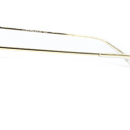 Polar 0220 michigan C2-Gold
