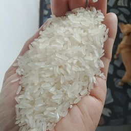 OLA RICE DEALER