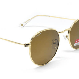 Polar 0220 michigan C2-Gold
