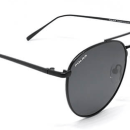 Polar 0220 toledo C76
