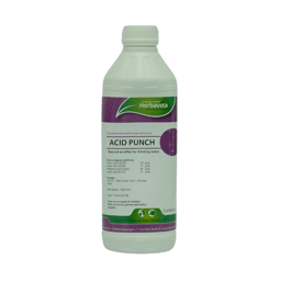 Acid Punch