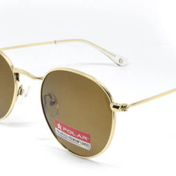 Polar 0220 michigan C2-Gold