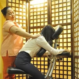 Massage Therapies