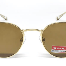 Polar 0220 michigan C2-Gold