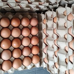 Farm Fresh Eggs
