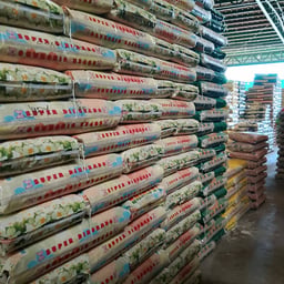 OLA RICE DEALER