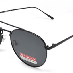 Polar 0220 toledo C76