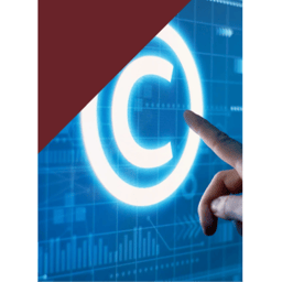 Copyright Protection and Deposit