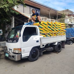OLA RICE DEALER