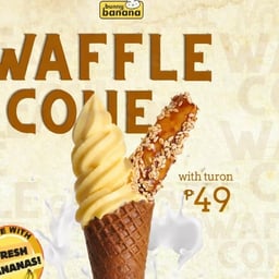Waffle Cone w/t Turon