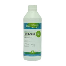 Aviform Cox