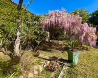 Vue pergola