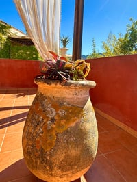 Pot en terre cuite