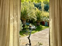 Vue fenêtre sur le domaine