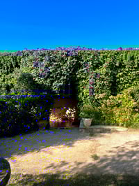Entrée