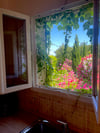 Fenêtre vue extérieur