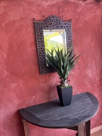 Terrasse plante