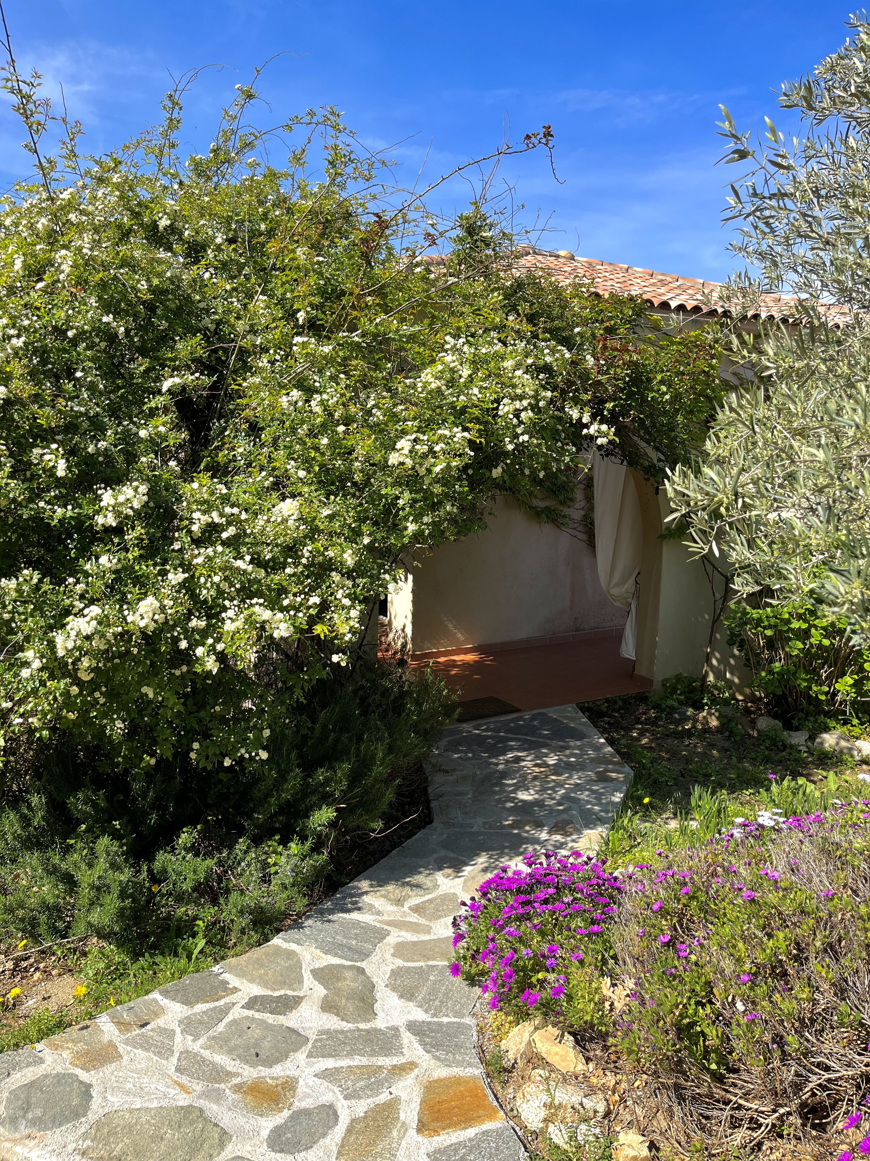 Enttée de la villa Giulia