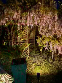 Pergola vue de nuit