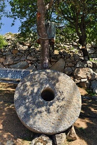 Meule