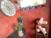 Terrasse horloge