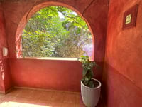 Plante entrée