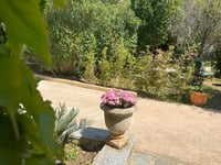 Vue sur le jardin