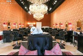 Luxurious salon located in Edmond