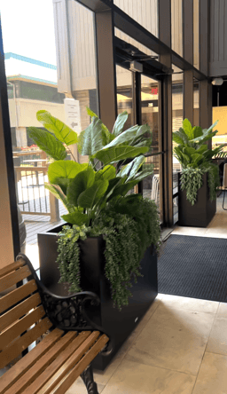 24/7 Suite in Greenwood Village 200 Sqft
