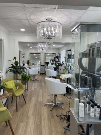 Luxurious Salon Chair