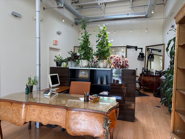 Bright Styling Chair for Rent in Westmont — Natural Light & High Ceilings!