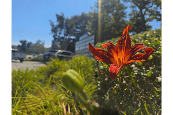 Private Room for Estheticians, Massage, or Hair in Laguna Niguel Holistic Center