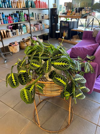 Beautiful Hair/Make Up Station for Rent – Modern Busy Salon, Great Location, Amenities Included