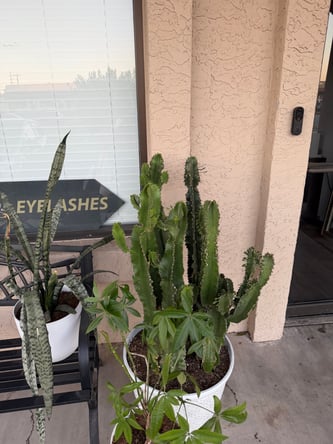 Private Suite for Lash Artists & Estheticians in Scottsdale
