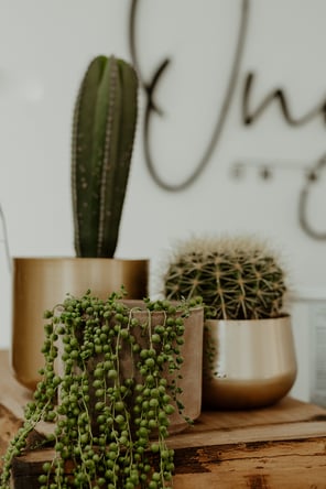 Luxury Salon Booth Rental in Pasadena | Onyx on Madison | Seeking Hairstylist