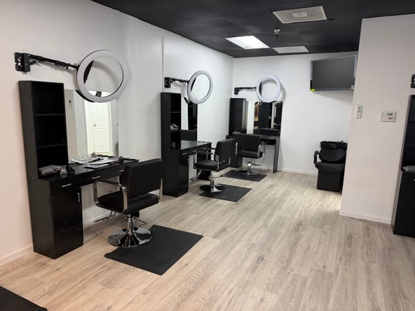 Beauty and Braids LA