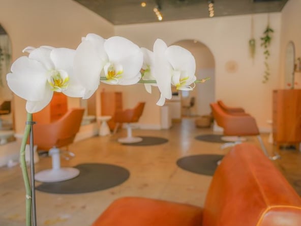 Luxury Salon Chair for Rent on Melrose Ave, Hancock Park — Grow Your Clientele!