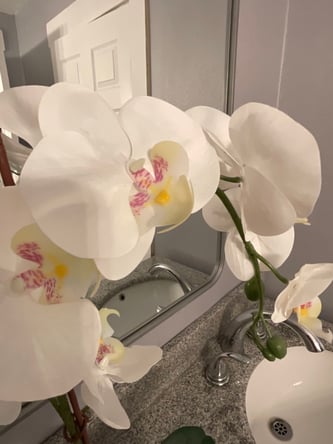 Beautiful Luxury Salon Available!