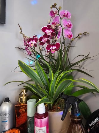 Boutique Salon Suite in Denver — Full-Time Booth Rent