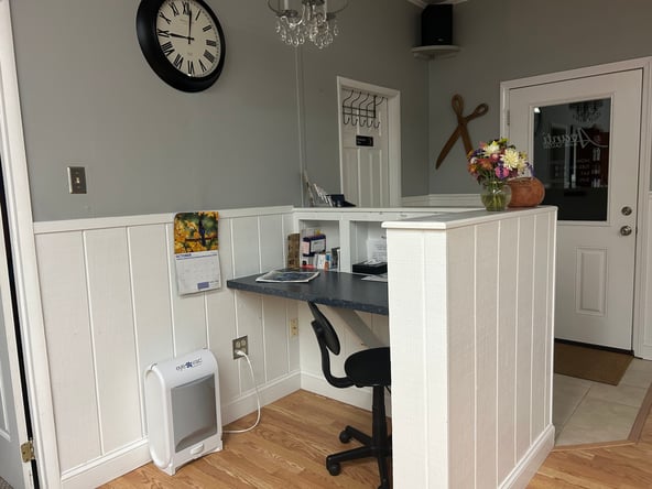 Salon Chair for Rent