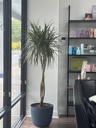Apopka Booth Rental Salon