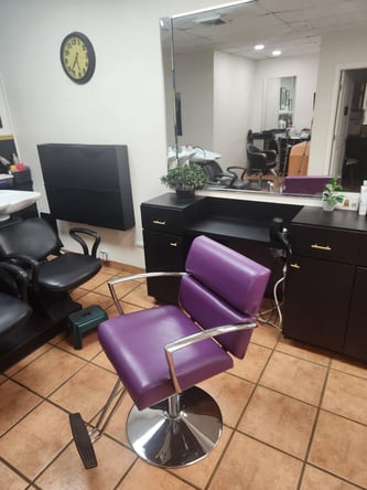 Salon Chair