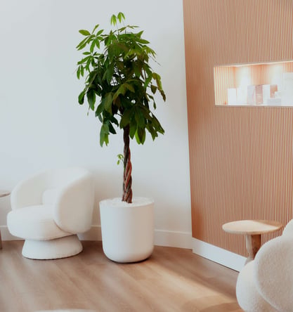 Unlock Your Beauty Business Potential: Luxury Room Rental in Beverly Hills Spa Oasis!