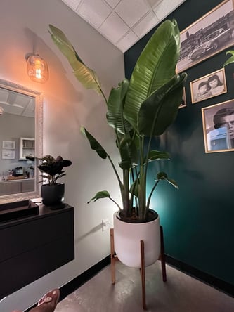Private Professional Salon Studio Available-Prime South Pasadena,Ca