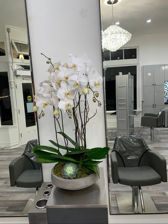 • Independent Stylist Wanted – Chair Rental in Friendly Salon