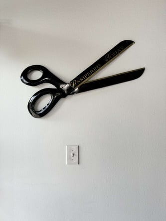 Introducing Pampered Today – Your Own Salon Suite!