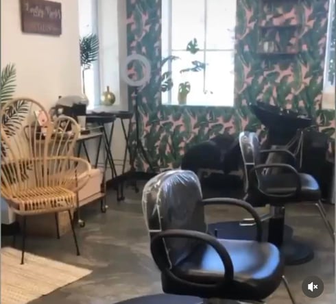 Chair in Salon suite