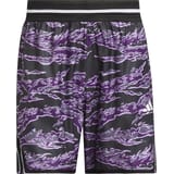 adidas Crazy Lite AOP Pantalones cortos Morado