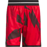 adidas Crazylite AOP 2 Pantalones cortos Rojo