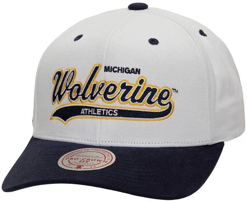 Mitchell & Ness Mitchell and Ness NCAA Michigan Wolverines Tail Sweep Pro Gorra Azul — photo 3